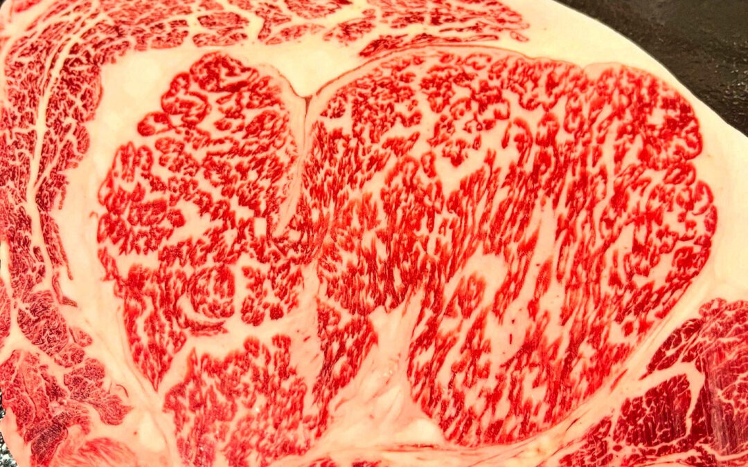 昨日はお休みをいただいてリフレッシュをさせていただきました！