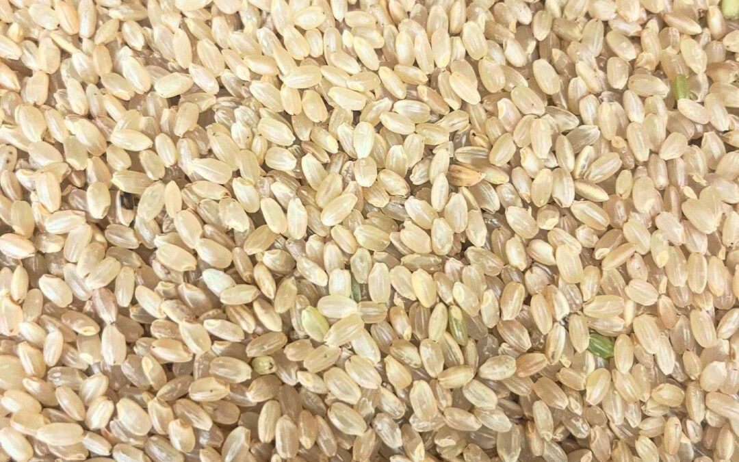 雪もみぞれで収まり、今日は雲ひとつない快晴です！