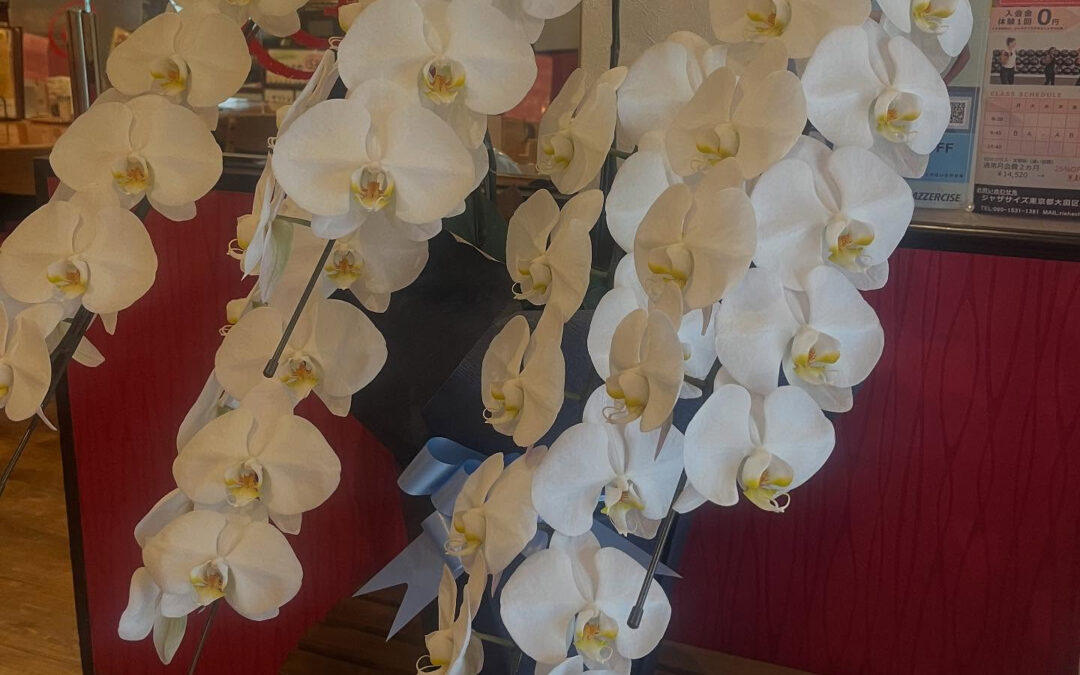 本日水曜日は牛タン30%オフday！