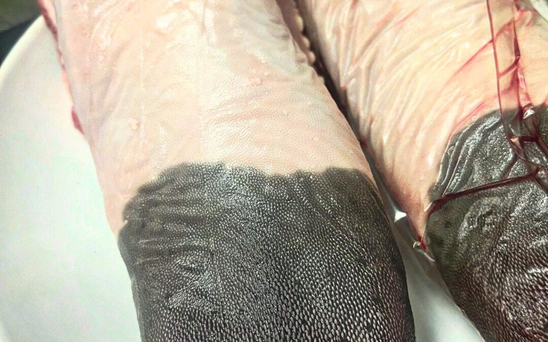 昨日、一昨日と連休を頂きました